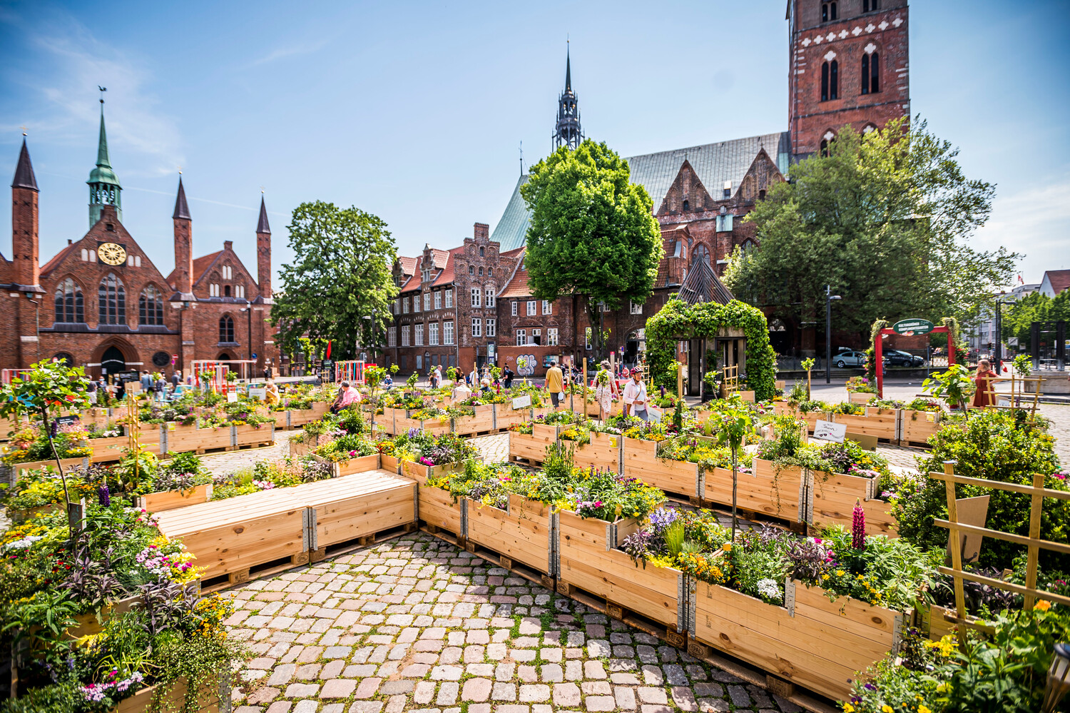 Blick aus dem Labyrinth des Komplimentegartens auf dem Koberg in der Altstadt in Lübeck mit Blick auf die St. Jakobikirche und das Heiligen-Geist-Hospital